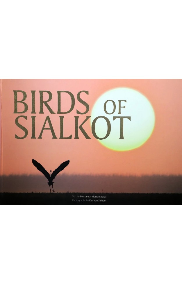 Birds of Sialkot
